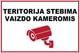 Ženklas „Teritorija stebima vaizdo kameromis“