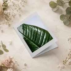 Atvirukai su UV laku