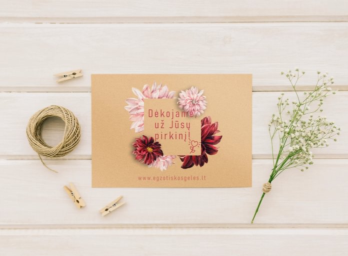 Standart Thank You Cards
