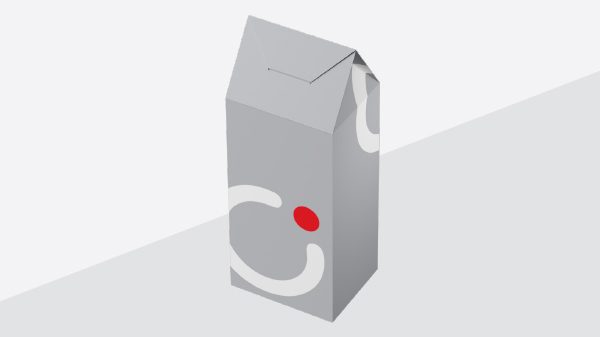 FOLDING CARDBOARD PACKAGING ECMA A55.75.01.03 Flexpro
